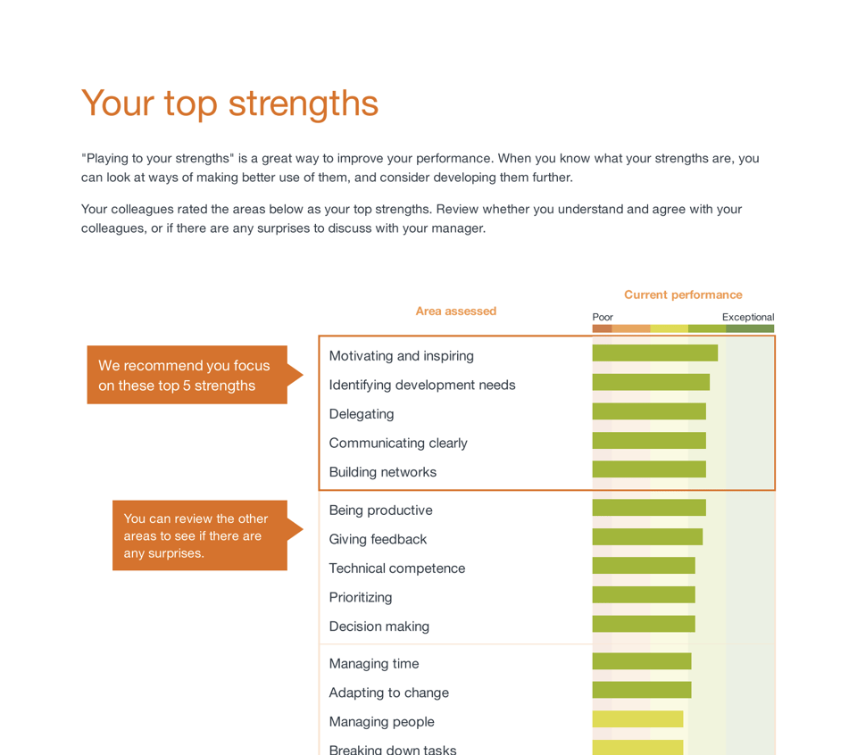 Screenshot of a Spidergap 360° Feedback report